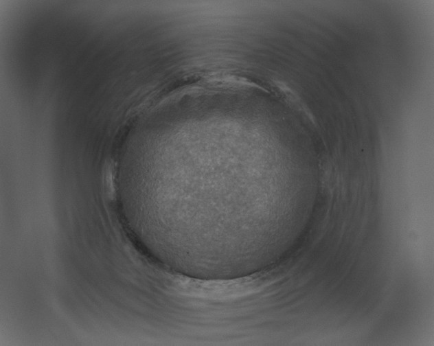 X0000067470026200604211619