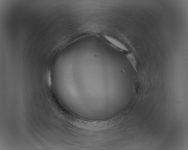 X0000067470027200604211618