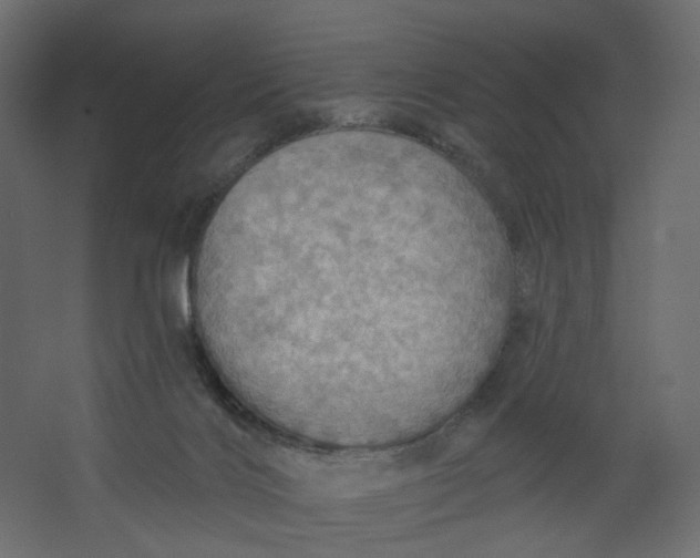 X0000067470028200604211618