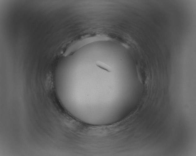 X0000067470029200604211618