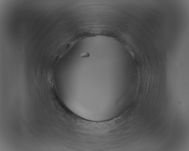 X0000067470031200604211618