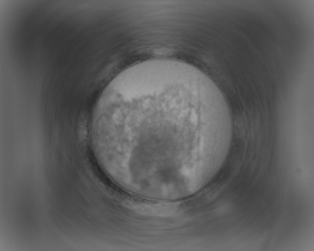 X0000067470032200604211618