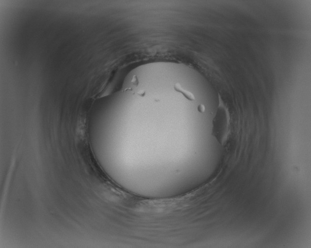 X0000067470033200604211618