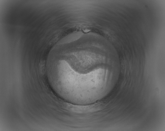 X0000067470034200604211618