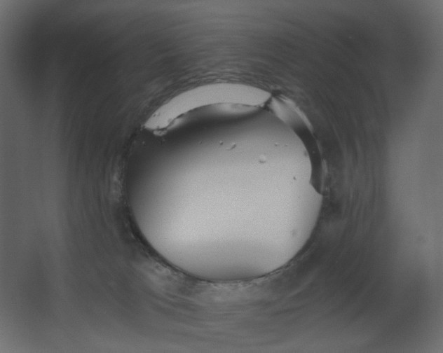 X0000067470037200604211618