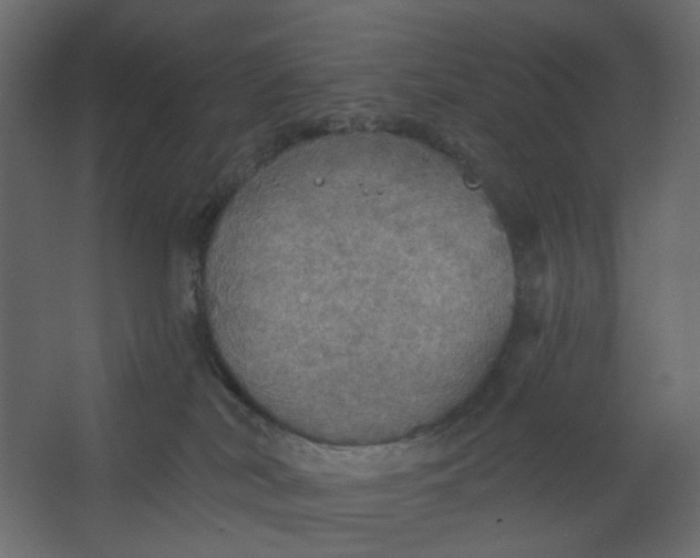 X0000067470038200604211618