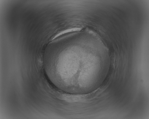 X0000067470040200604211618