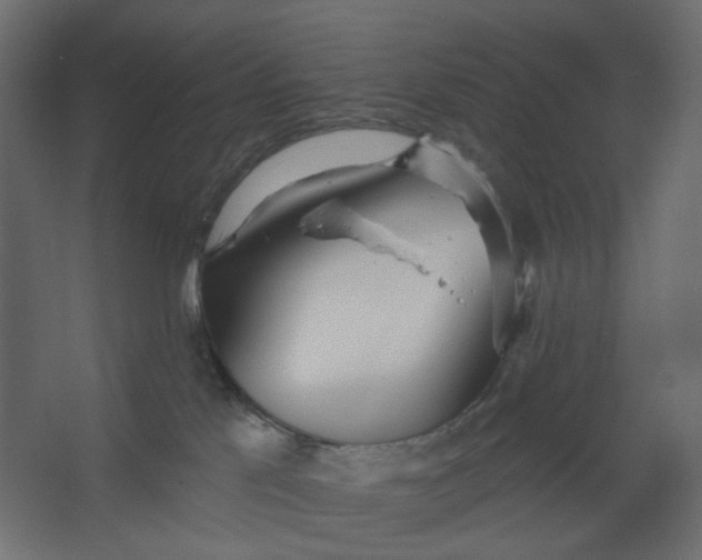 X0000067470041200604211618