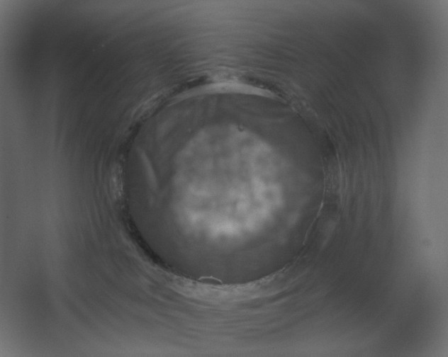 X0000067470043200604211618