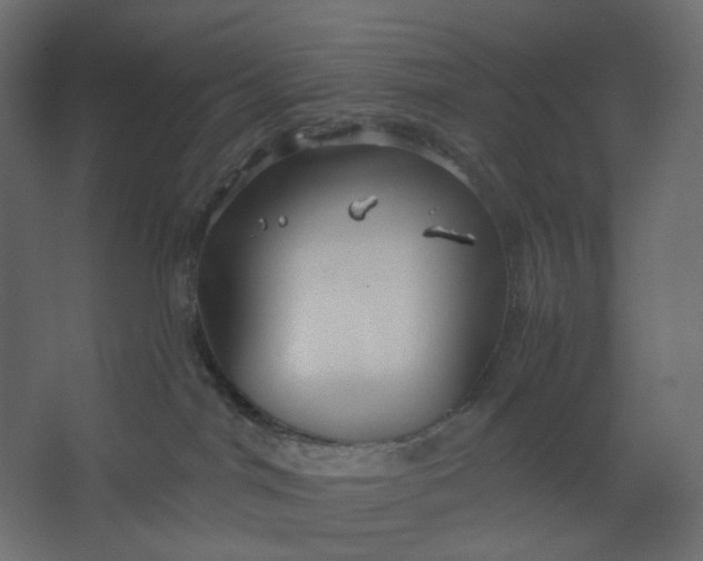 X0000067470044200604211618