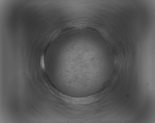 X0000067470046200604211618