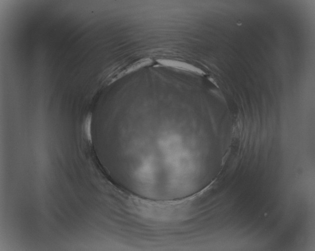 X0000067470047200604211618