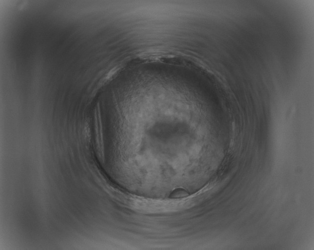 X0000067470048200604211618