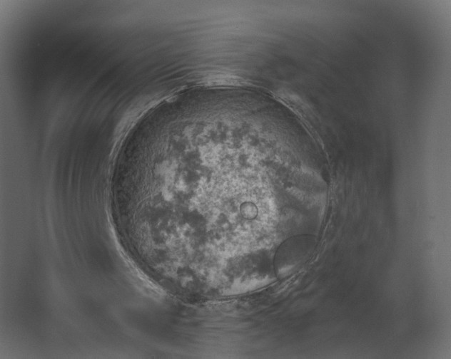 X0000067470049200604211617