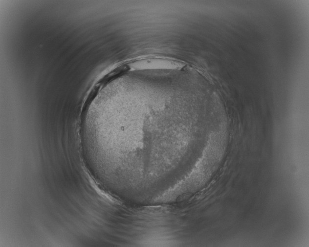 X0000067470050200604211617