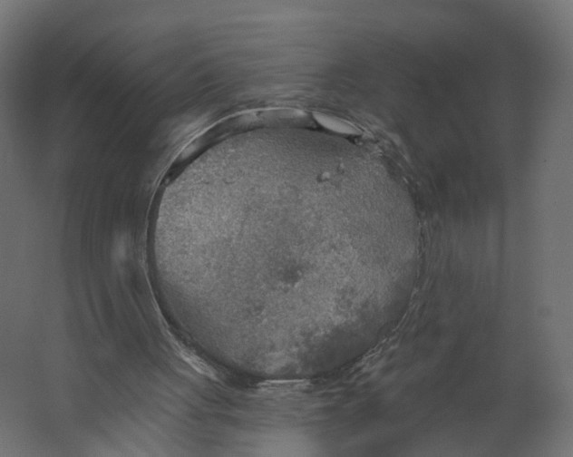 X0000067470051200604211617