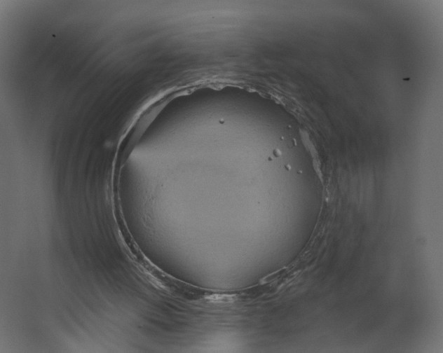 X0000067470052200604211617