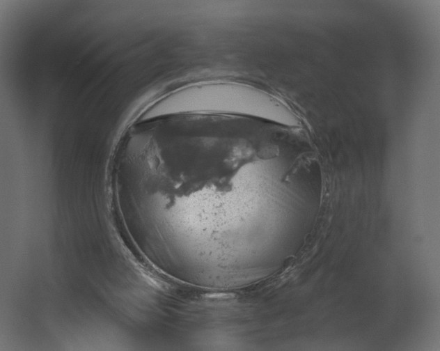 X0000067470053200604211617