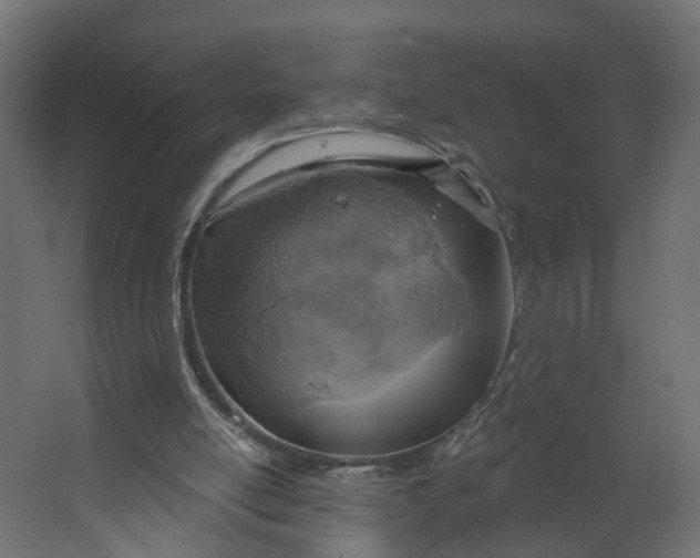 X0000067470054200604211617