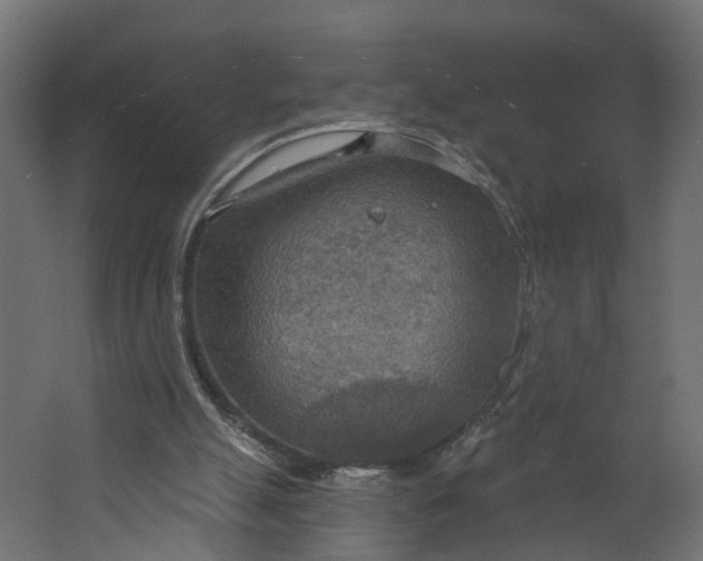 X0000067470055200604211617