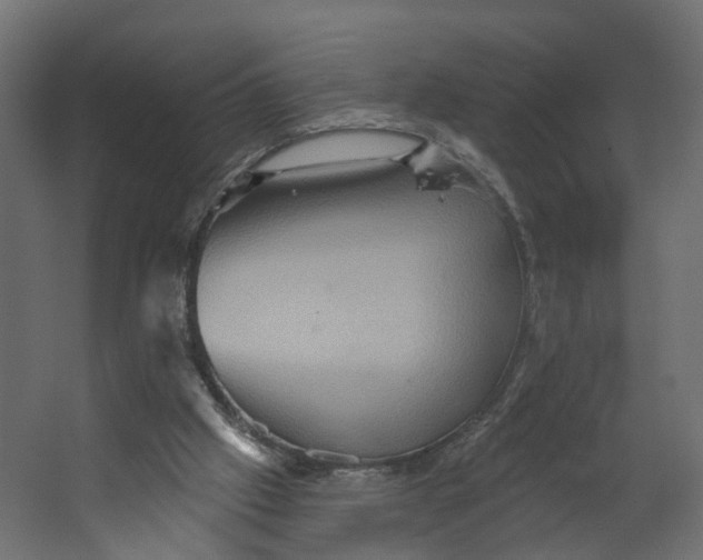 X0000067470057200604211617