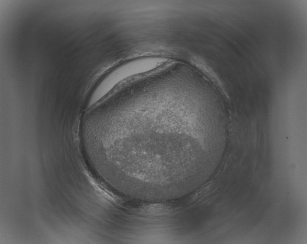 X0000067470058200604211617