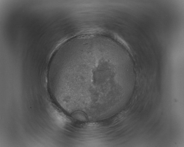 X0000067470059200604211617