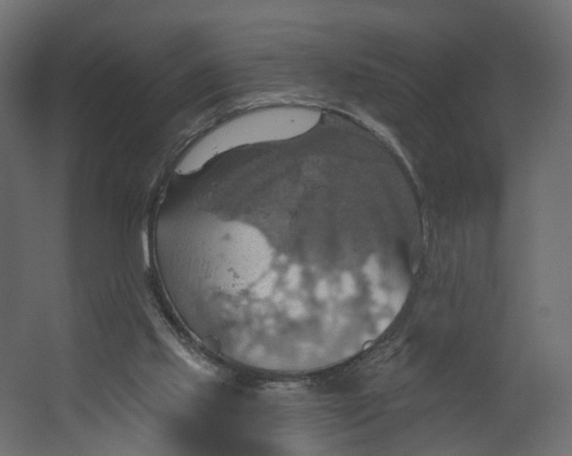 X0000067470061200604211618