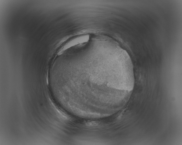 X0000067470062200604211618