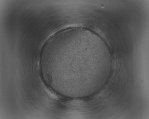 X0000067470063200604211618