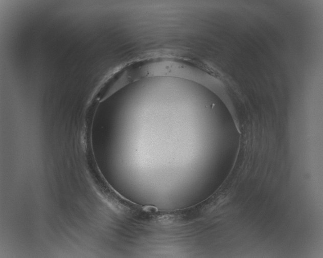 X0000067470064200604211618