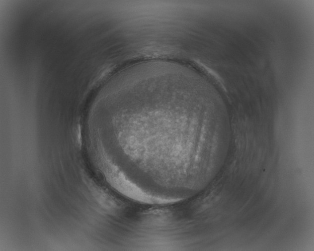 X0000067470067200604211618