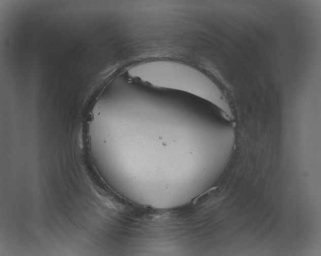 X0000067470068200604211618