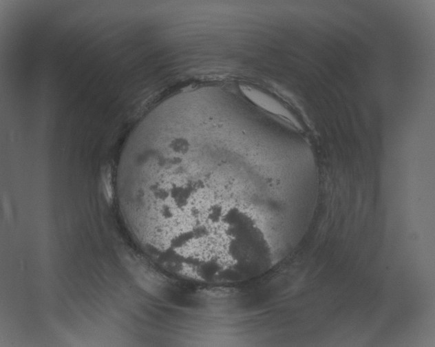 X0000067470069200604211618