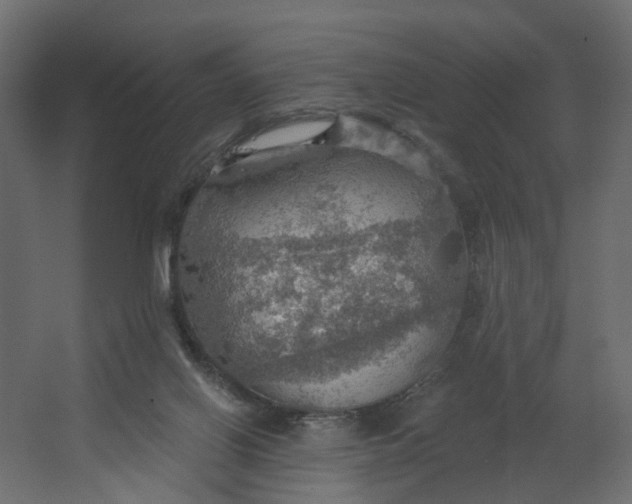 X0000067470070200604211618