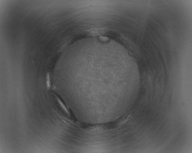 X0000067470075200604211618