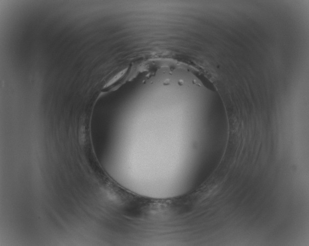 X0000067470080200604211618