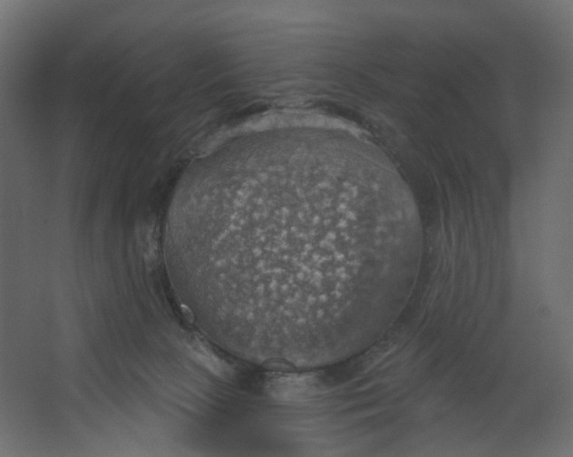 X0000067470081200604211618