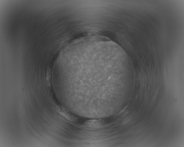 X0000067470082200604211618