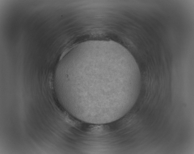 X0000067470083200604211618