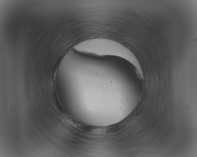 X0000067470084200604211618