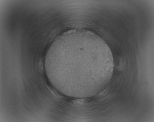 X0000067470086200604211618