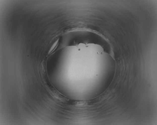 X0000067470088200604211618