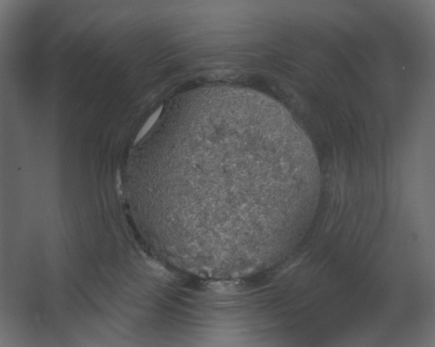 X0000067470089200604211618