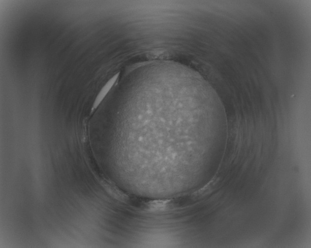 X0000067470090200604211618