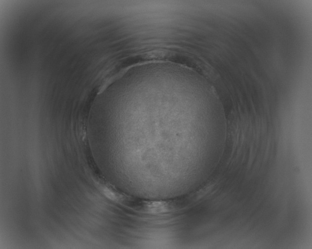 X0000067470091200604211618