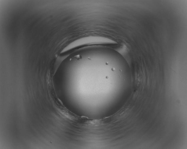 X0000067470092200604211618