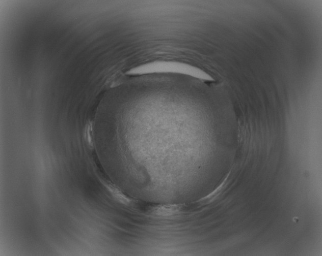 X0000067470094200604211618