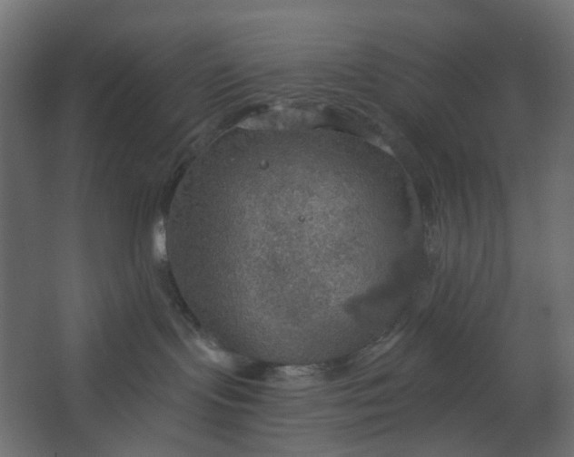 X0000067470095200604211618