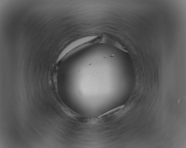 X0000067470096200604211618